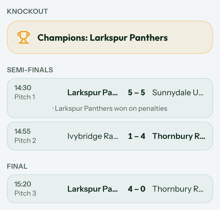 The knockout stage of the same tournament, showing the champions, two semi-finals with scores including one won on penalties, and the final.