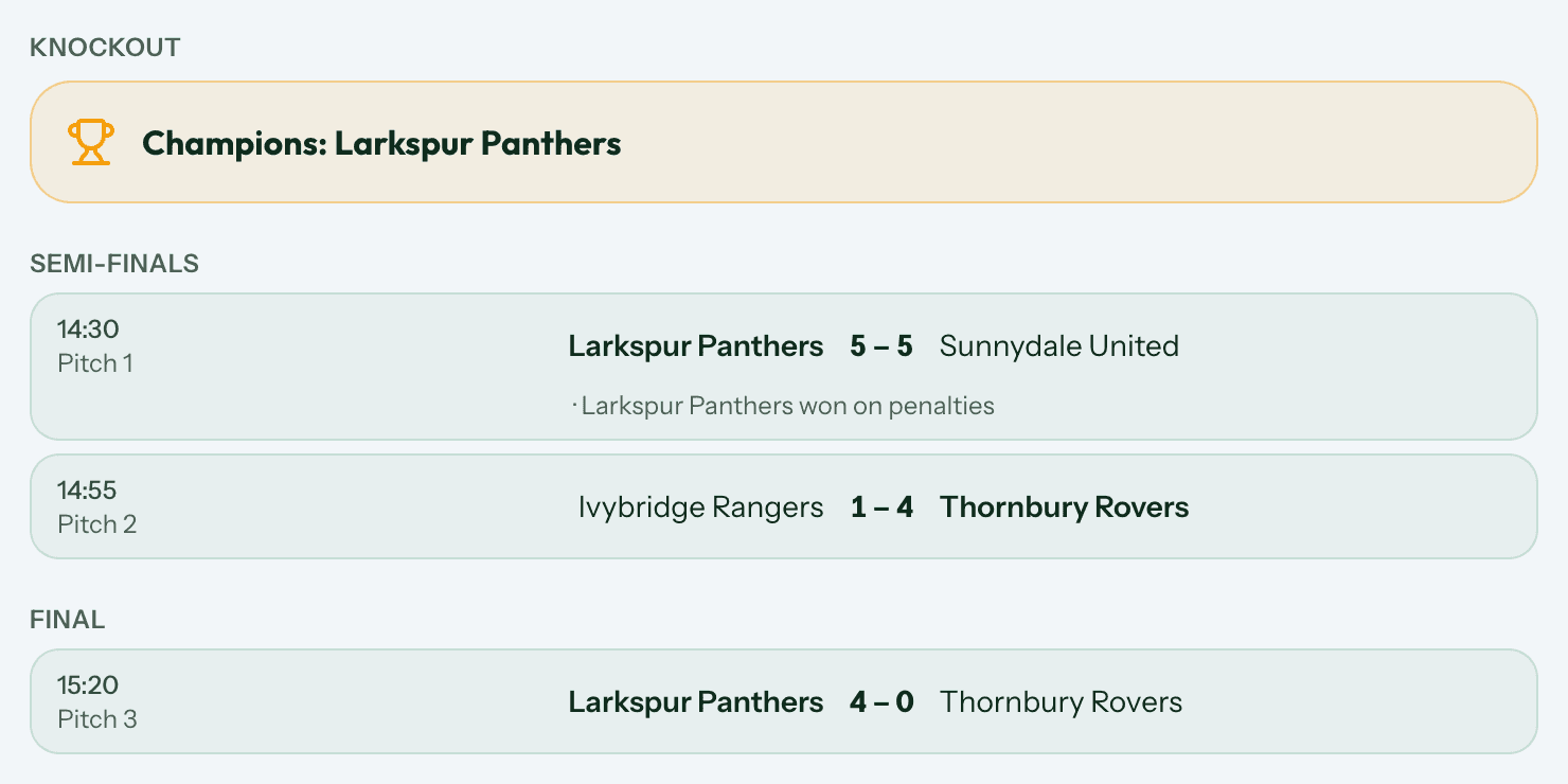 The knockout stage of the same tournament, showing the champions, two semi-finals with scores including one won on penalties, and the final.